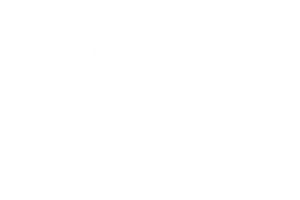 לוגו viv clinic